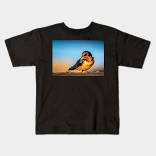 Barn Swallow on a Rail Kids T-Shirt